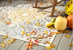 Rugs for Indoors & Out