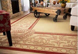 Rugs for All Areas: Indoor/Outdoor Designs
