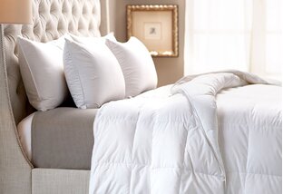 Buy Essential Bedding Basics!