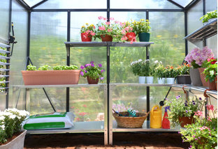 Buy Plant a New Look: Greenhouses & Gear!