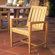 Kingsley Bate Amalfi Dining Arm Chair