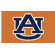 BSI Products NCAA Traditional Flag