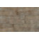 Daltile Timber Glen 8" x 24" Rustic Field Tile in Heath