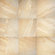 Daltile Ayers Rock 6 1/2" x 6 1/2" Unpolished Field Tile in Solar Summit