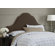 Skyline Furniture Plain High Arch Upholstered Headboard