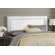 Skyline Furniture Nail Button Upholstered Headboard