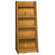 Ironwood Paperback Display