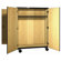 Ironwood 1000 Series Combo Mobile Cabinet