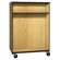 Ironwood 2000 Series DF Combo Mobile Cabinet