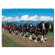 Lil' Rider Clydesdales in Blue Sky Mountains 14" Canvas Art