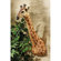 Design Toscano African Giraffe Trophy Wall Sculpture