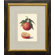 Phoenix Galleries Orange Framed Print
