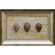 Phoenix Galleries Three Tiger Cowries Shadow Box