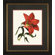 Phoenix Galleries Red Lily Framed Prints