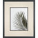 Phoenix Galleries Palm Leaf Framed Prints