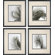 Phoenix Galleries Palm Leaf Framed Prints