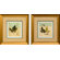 Phoenix Galleries Tropical Fern Framed Prints