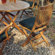 Barlow Tyrie Teak Ascot Dining Side Chair with Cushion