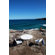 Harbour Outdoor Clovelly Dining Set