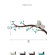 LittleLion Studio Koala Branch I Wall Decal