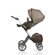 Stokke Stokke Xplory Basic Stroller