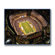Artissimo Designs NFL Stadium Canvas Art