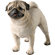 Sandicast Original Size Pug Sculpture in Fawn