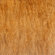 Kaska Northwest Series 6" x 18" Porcelain Tile in Cedar