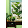Brewster Home Fashions Willow Etched Glass Decals