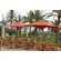 Green Corner The Original 11' Octagon Patio Umbrella