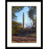 Great American Picture Cleopatra's Needle, Central Park, New York City Framed Photograph - Lauree Feldman