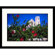 Great American Picture Oleander Framed Photograph