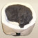 Snoozer Pet Products Lookout Golf Cart Pet Carrier