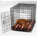 Bowsers Luxury Crate Mattress Dog Bed