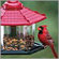 Artline Gazebo Bird Feeder