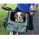 Pet Gear Bike Basket 3-in-1 Pet Carrier in Sage
