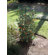 Griffith Creek Designs Tomato and Plant Grow Cage