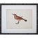 Mirror Image Home Vintage Bird I Art