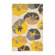 DwellStudio Big Floral Citrine Rug