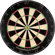 DMI Sports Champion's Choice Bristle Practice Board