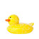 Boon Odd Duck Squish