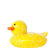 Boon Odd Duck Squish