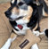 ABO Gear Bone with Rope Dog Toy