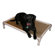Kuranda USA Standard Elevated Chew-Proof Dog Bed in Almond