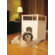 Merry Products Pet House and Litter Box