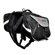EZYDog Summit Backpack in Black