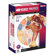 Famemaster 4D-Vision 4D-Vision Human Female Reproductive Anatomy Model