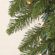 Vickerman Co. Camdon Fir 50' Garland with 1332 Tips