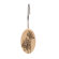 Carnation Home Fashions Cologne Shower Curtain Hooks (Set of 12)