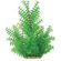 Pure Aquatic Natural Elements Ambulia Aquarium Ornament in Green